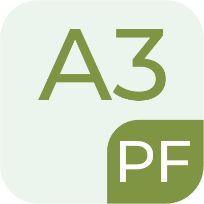 icon-pf-a3