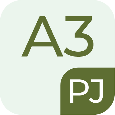 icon-pj-a3
